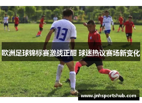 欧洲足球锦标赛激战正酣 球迷热议赛场新变化
